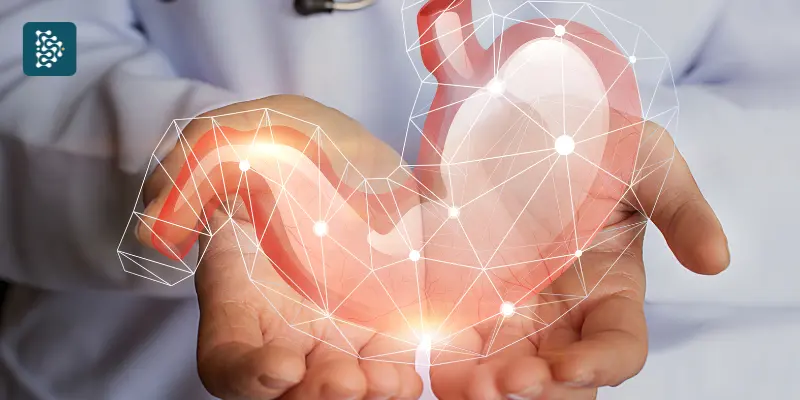 A imagem mostra médico gastroenterologista segurando a imagem digital de um estômago com linhas conectados representando tecnologia do software de gestão hospitalar datasigh